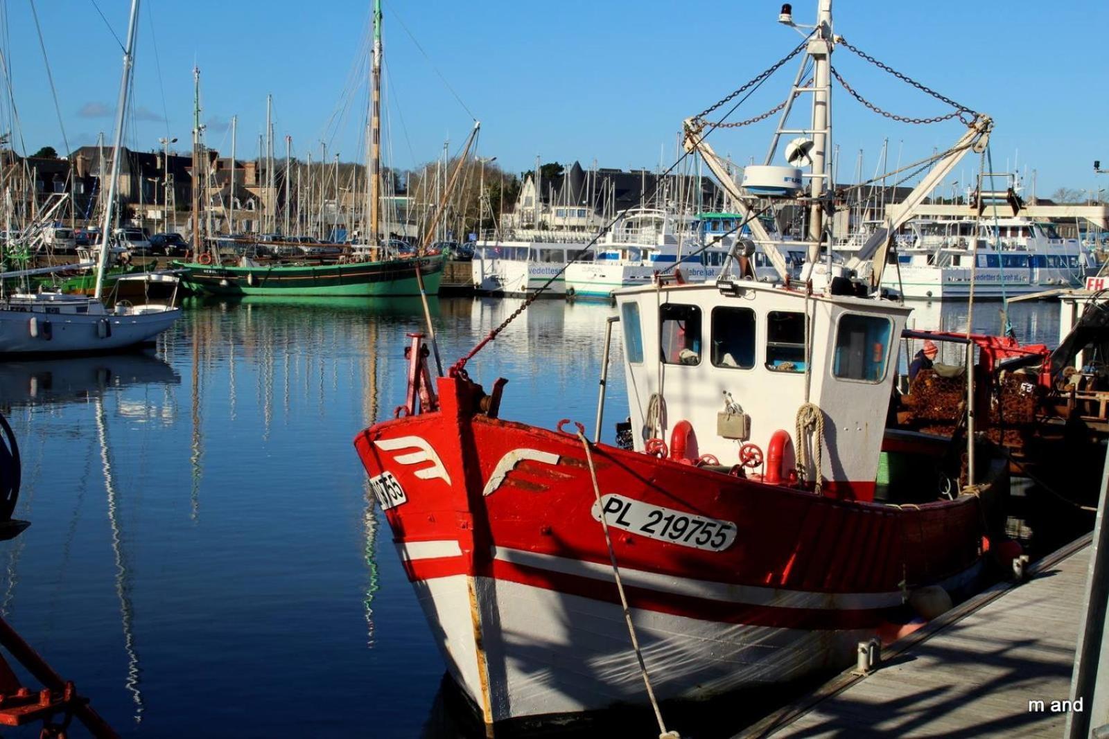 Gite Paimpol Le Loarwenn Eksteriør billede